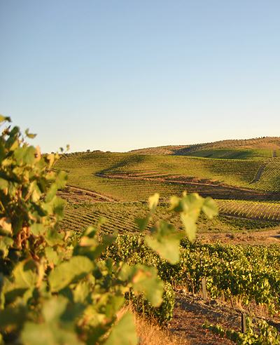 douro